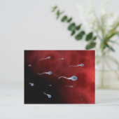 卵管内精子の概念像 ポストカード (スタンド正面)