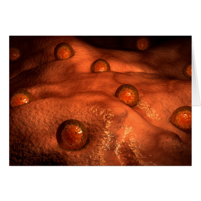 卵粒の顕微鏡観察 (正面横)