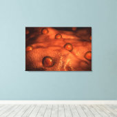 卵粒の顕微鏡観察 キャンバスプリント (インサイチュ (ウッドフロア))