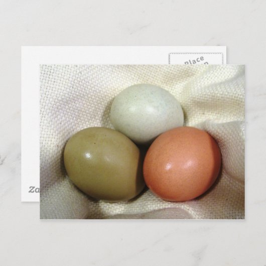 卵3個… ポストカード (正面/裏面)