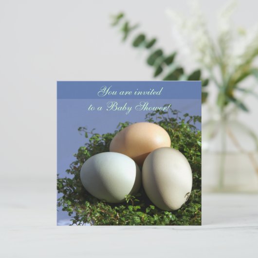 卵3個 招待状 (スタンド正面)