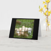 卵 カード (黄色い花)