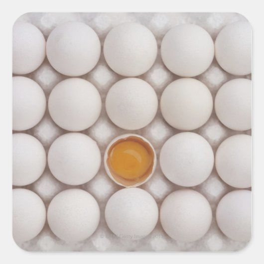 卵 スクエアシール (正面)