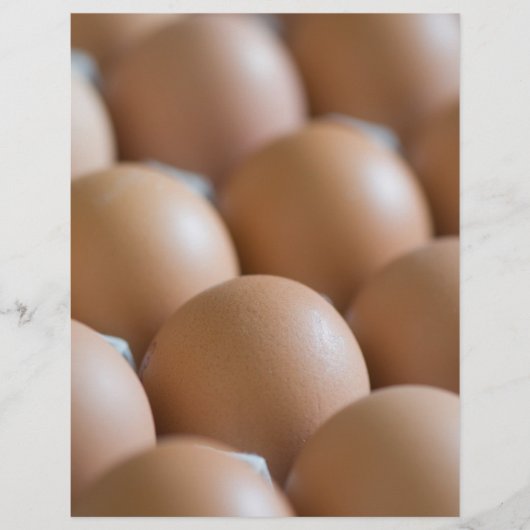 卵 チラシ (正面)