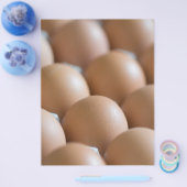 卵 チラシ (シングル)