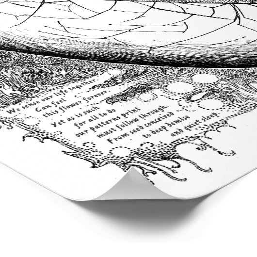 卵 ポスター (角)