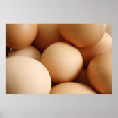 卵 ポスター (正面)