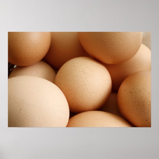 卵 ポスター (正面)