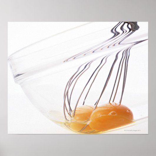 卵 ポスター (正面)