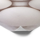 卵 ポスター (角)