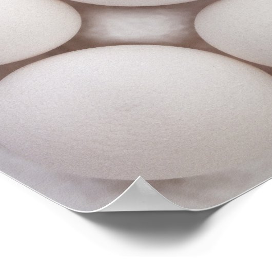 卵 ポスター (角)