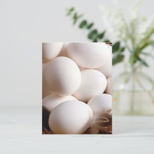 卵 ポストカード (スタンド正面)