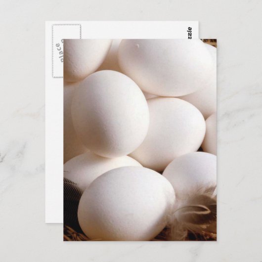 卵 ポストカード (正面/裏面)