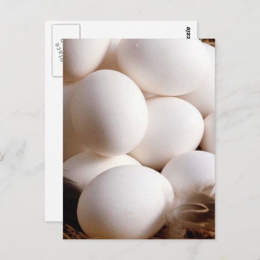 卵 ポストカード (正面/裏面)