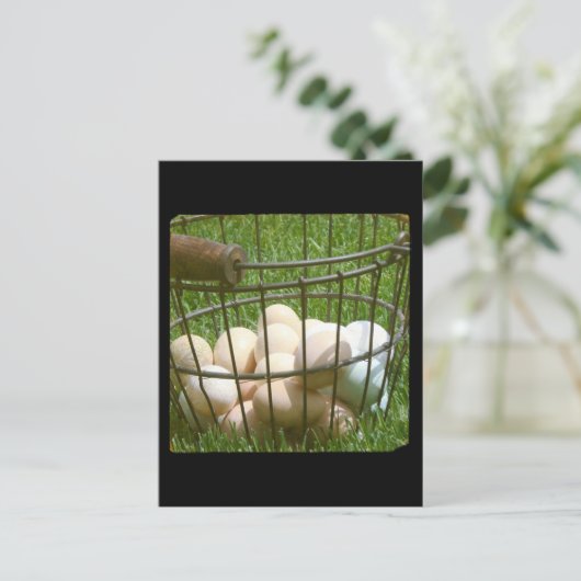 卵 ポストカード (スタンド正面)