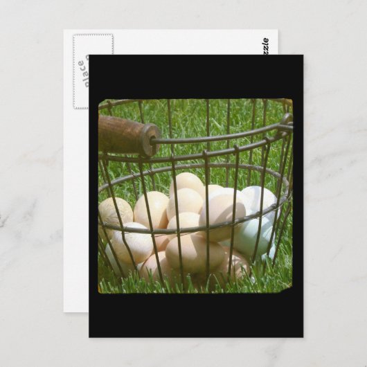 卵 ポストカード (正面/裏面)