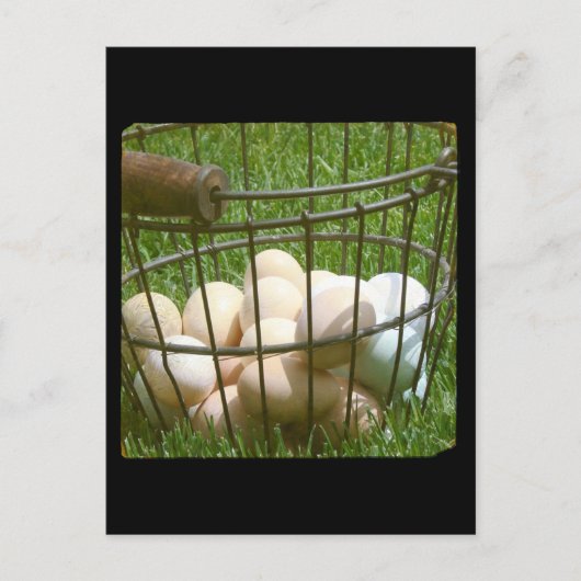 卵 ポストカード (正面)