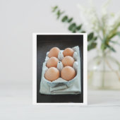 卵 ポストカード (スタンド正面)