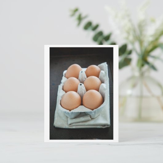 卵 ポストカード (スタンド正面)