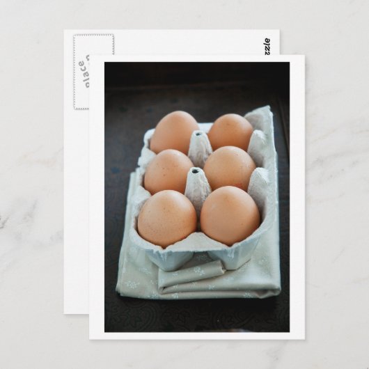 卵 ポストカード (正面/裏面)