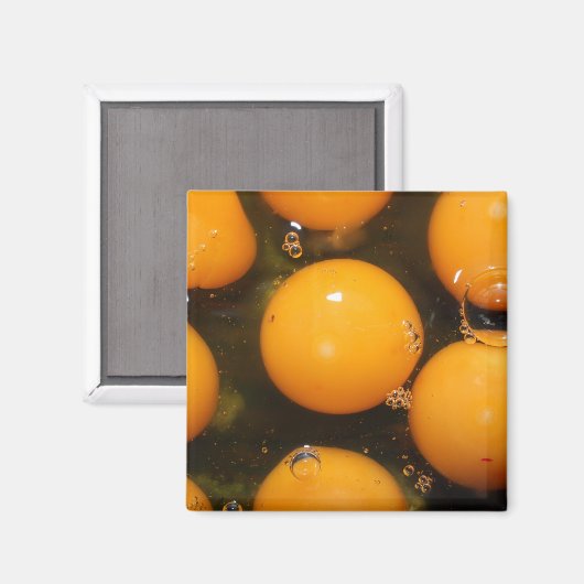 卵 マグネット (正面/裏面)