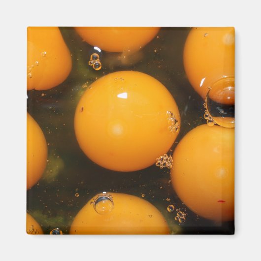 卵 マグネット (正面)