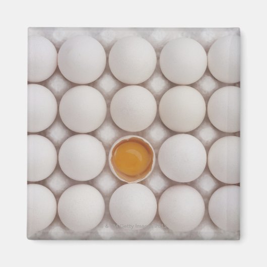 卵 マグネット (正面)