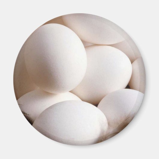 卵 マグネット (正面)