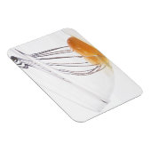 卵 マグネット (右側)