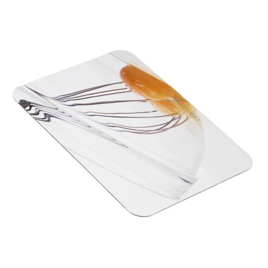 卵 マグネット (右側)