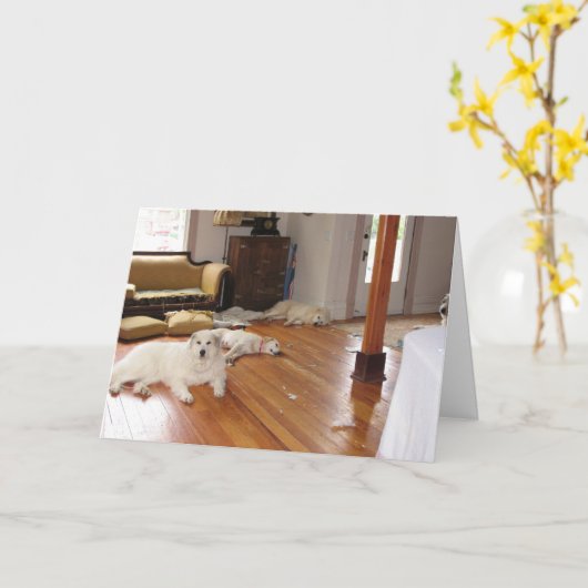 卸し売り破壊 カード (黄色い花)