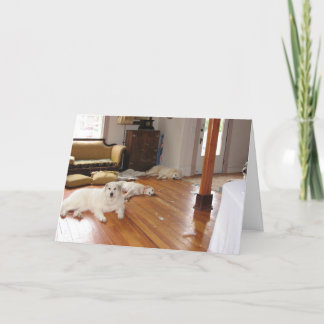 卸し売り破壊 カード