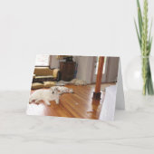 卸し売り破壊 カード (正面)