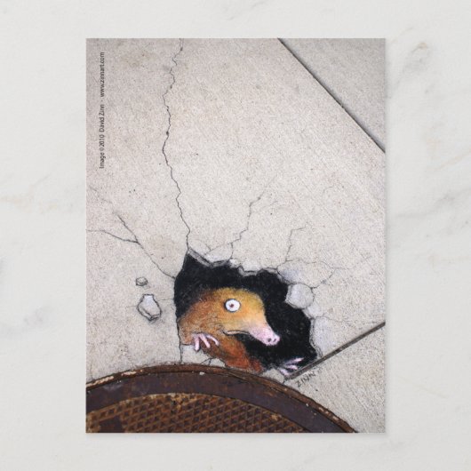 厄介なほくろ ポストカード (正面)