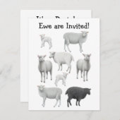 厄介ものの招待状 招待状 (正面/裏面)