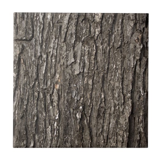 厚い樹皮 タイル (正面)