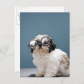 厚い眼鏡をかけた子犬 ポストカード (正面/裏面)