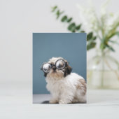 厚い眼鏡をかけた子犬 ポストカード (スタンド正面)