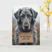 厚紙の看板を持つ老犬を手に入れる カード (黄色い花)