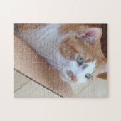 厚紙の箱に入れた生姜虎猫 ジグソーパズル (横)