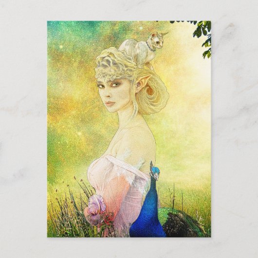 厚紙はがき ポストカード (正面)