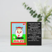 厚紙 ポストカード (スタンド正面)