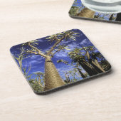 厚足類の木で形成されたとげ状の森林 コースター (左側)