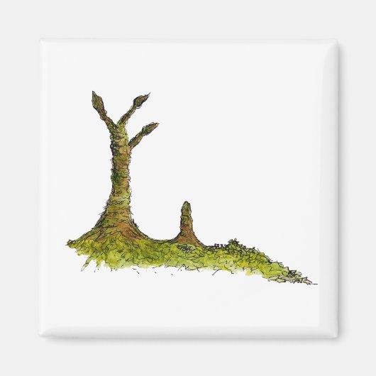 原タキサイト地衣類マグネット マグネット (正面)