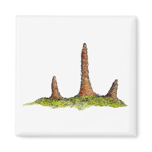 原タキス菌磁石