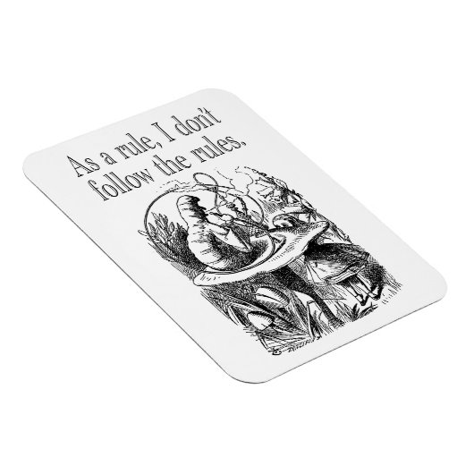 原則として私は規則後を追をやらない マグネット (右側)