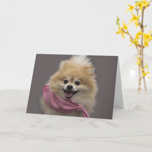 原因のための焦点によるポメラニア犬犬のバースデー・カード カード (黄色い花)