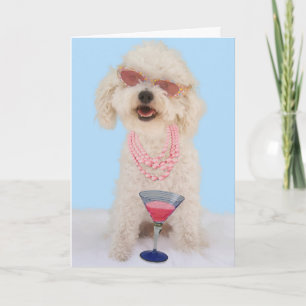 原因のための焦点によるBichon Friseのバースデー・カード カード