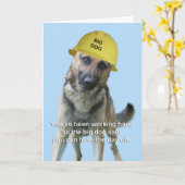 原因の焦点によるドイツの羊飼い誕生日カード カード (黄色い花)