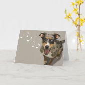 原因を探るためピントを合わせて歌うカタウラ カード (黄色い花)